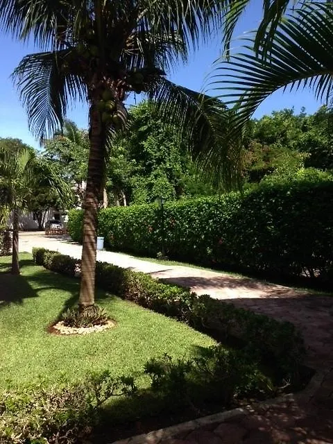 B&B Villa Hibiscus Playa del Carmen Bed & Breakfast