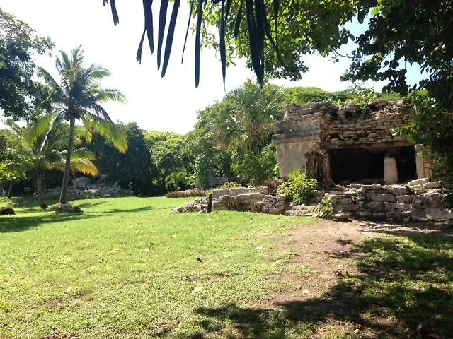 B&B Villa Hibiscus Playa del Carmen Bed & Breakfast